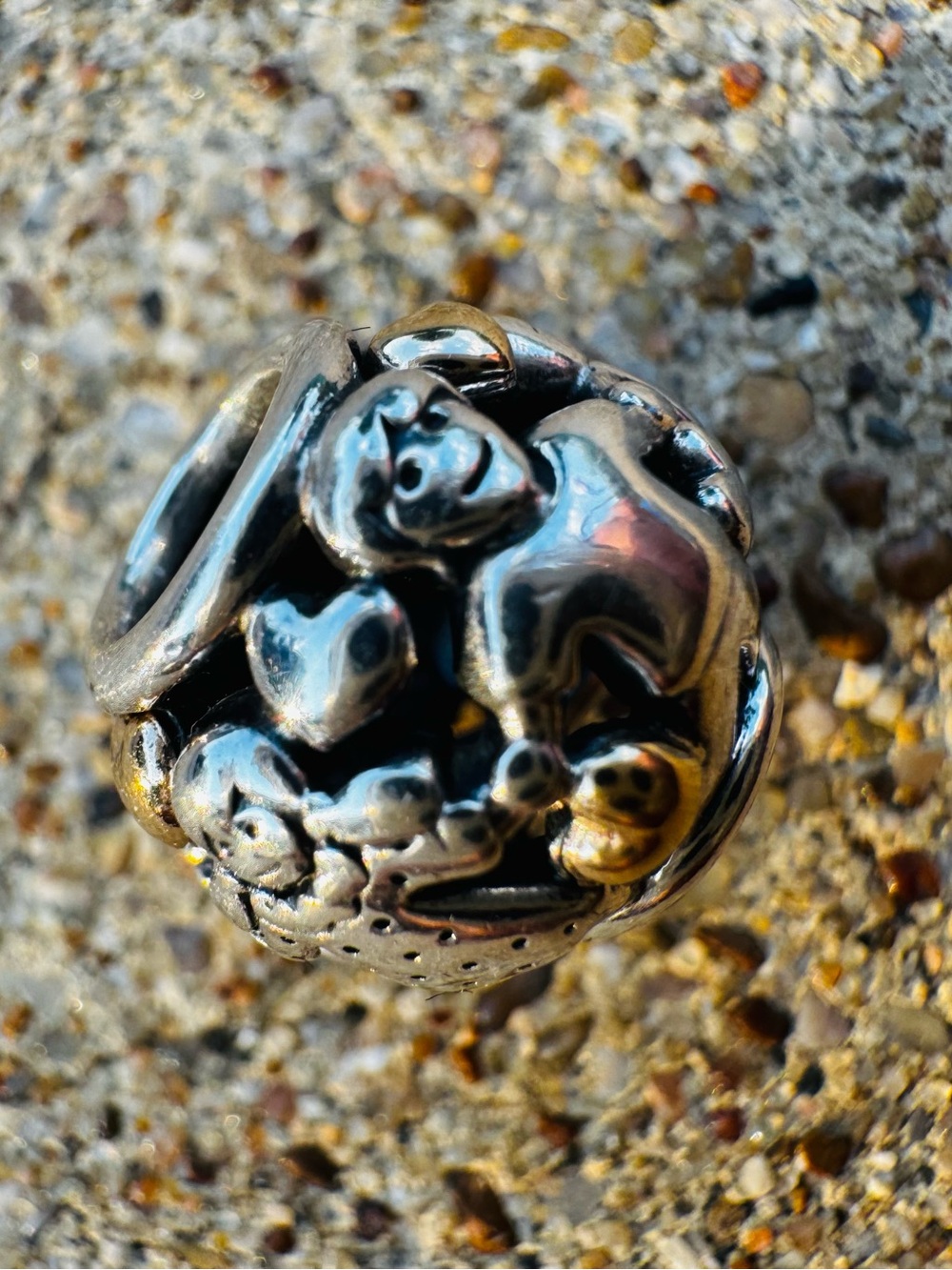PANDORA Family Forever Charm- 791040